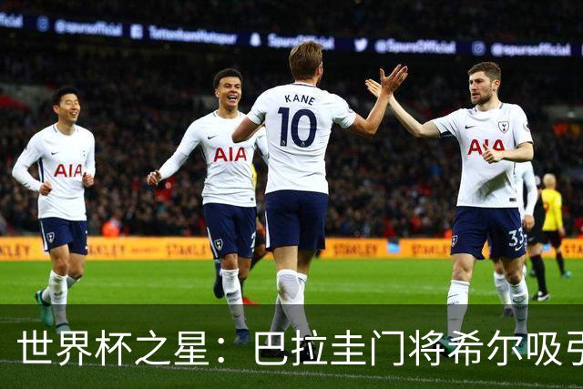 世界杯之星：巴拉圭门将希尔吸引西甲多家俱乐部的关注，身价飙升至700万欧元！