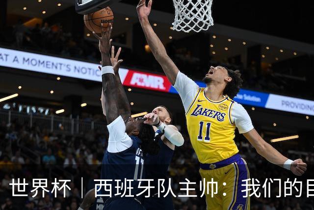 世界杯｜西班牙队主帅：我们的目标是赢得冠军