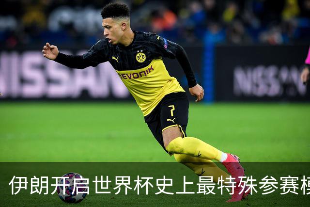 伊朗开启世界杯史上最特殊参赛模式：跨境备战、当天往返美国