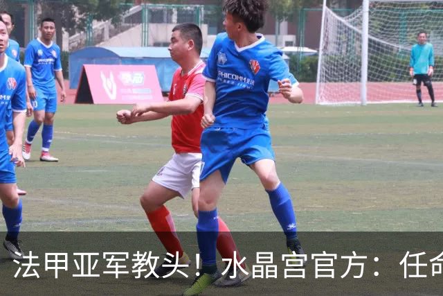 法甲亚军教头！水晶宫官方：任命萨热为球队新帅，签约3年时间